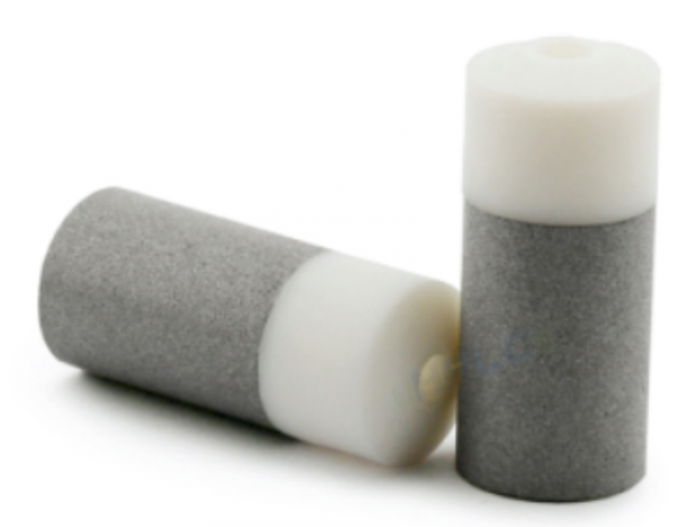 Inlet Filters - Borosil Scientific
