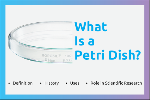 What Is a Petri Dish? Definition